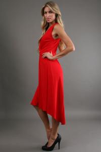 kay_unger_red_halter_v_neck_in_red_product_2_4147762_260828870_large_flex.jpeg