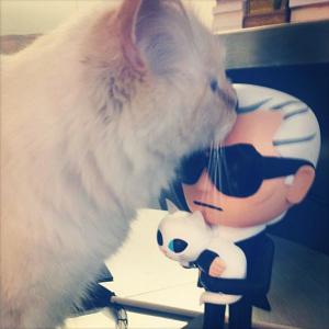rs_600x600_130903171906_600.Karl_Lagerfeld_Choupettemh.090313.jpg
