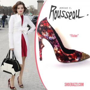 Jerome_C_Rousseau_Flicker_pump_Fall_2013.jpg