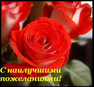 post-7037-1263741998_thumb.jpg