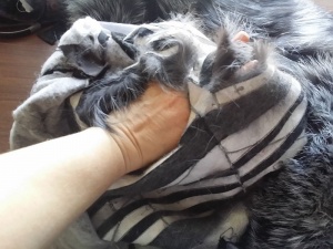 post-7052-1518781102_thumb.jpg