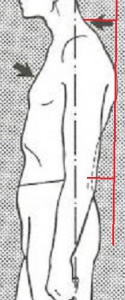 post-7183-1545230386_thumb.jpg