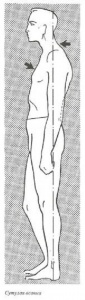 post-7183-1545229991_thumb.jpg