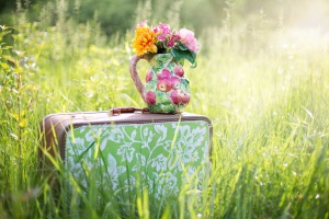 summer_still_life_suitcase_in_field_grass_summer_countryside_outdoor_pitcher_of_flowers_724182.jpg