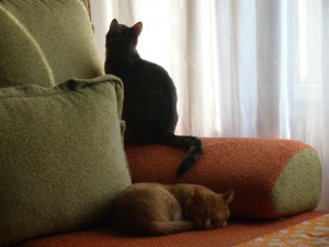 DSC07270.JPG