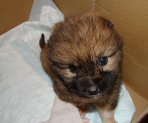 021.JPG