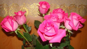 FASHION__01._0255.jpg