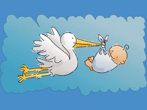 baby_stork_boy_lg.jpg