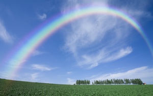 rainbow_sky_clear_from_below_arch_trees_summer_field_646273.jpg