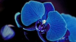 FASHION__01._049.jpg